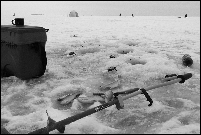 ���������� ����� ���.