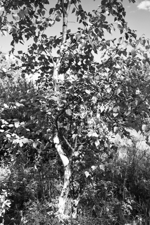 ���������� ����������