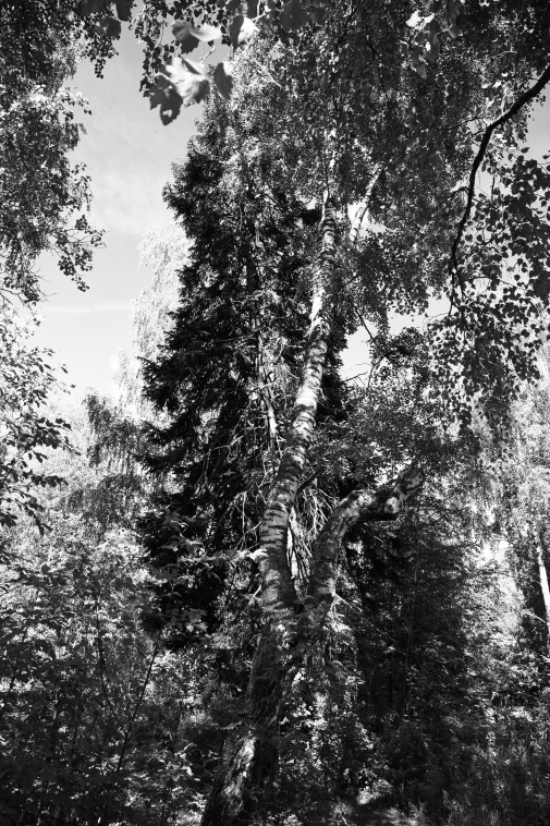 ���������� ����������