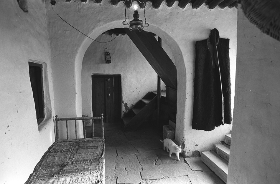 ���������� ***