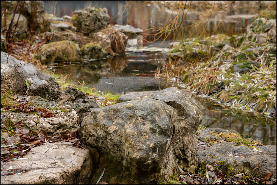 ���������� ����� �� ����.