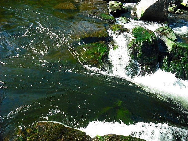 ���������� � ������