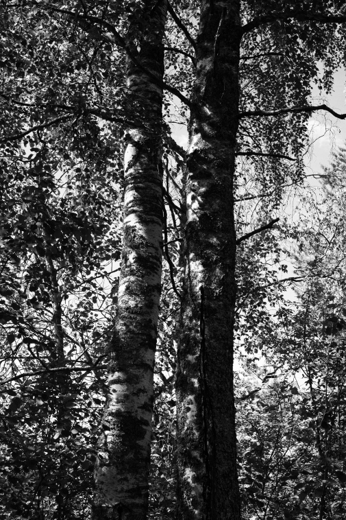 ���������� ����������