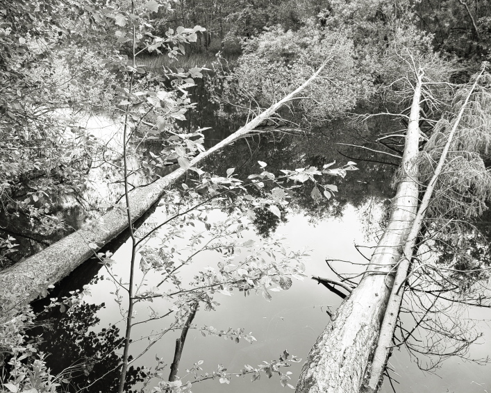 ���������� ����������