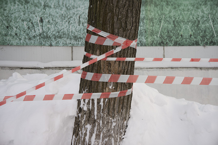 ���������� ***