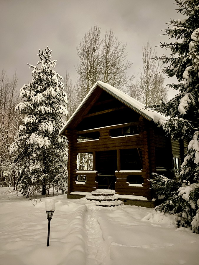 ���������� *