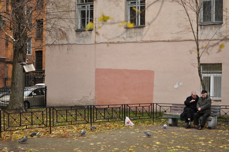 ���������� ***