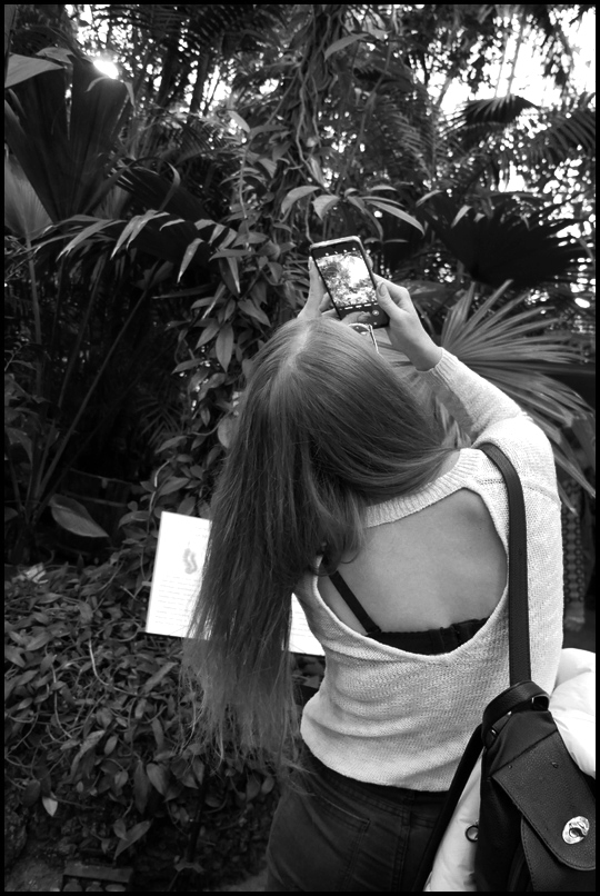 ���������� ���������������.