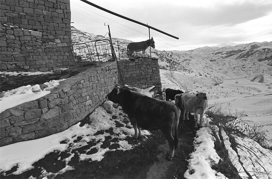 ���������� ***