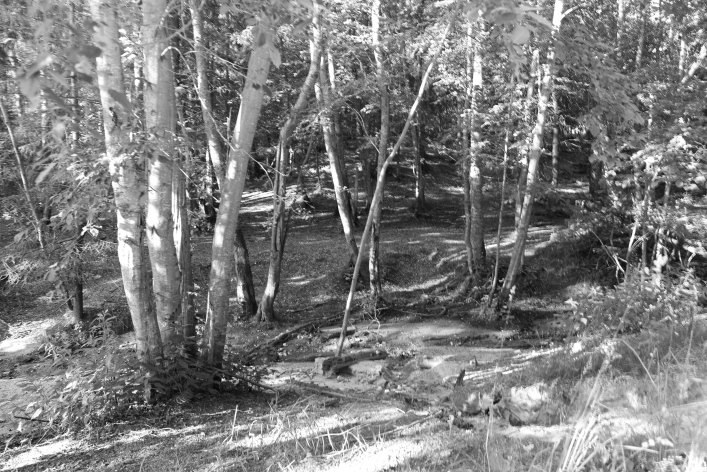 ���������� ����������