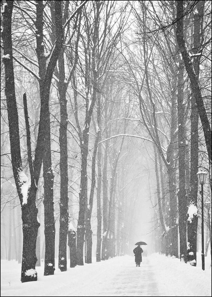 ���������� ***