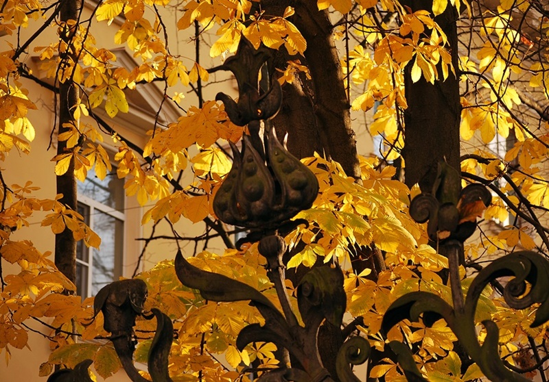 ���������� ������ ������ 