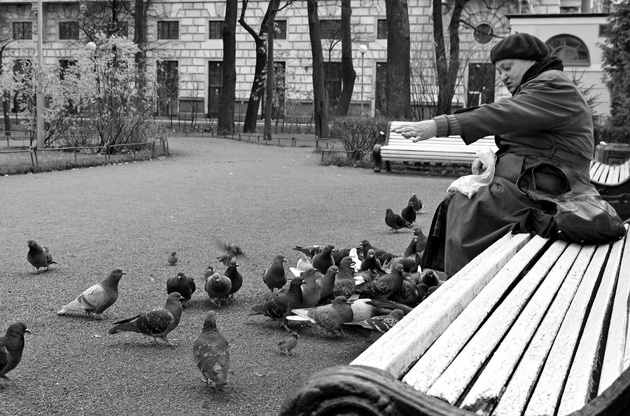 ���������� ***