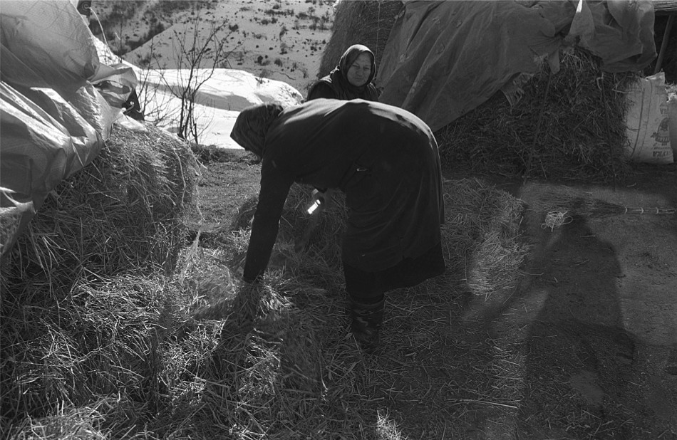 ���������� ***