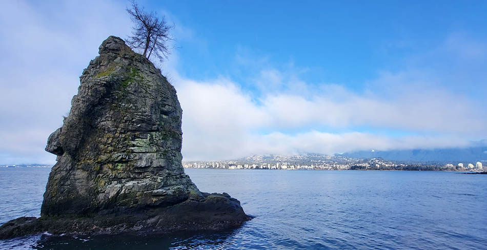 ���������� ��������� �� ���