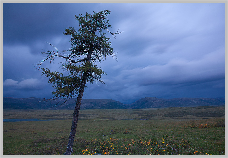 ���������� ��������� ����. �����.