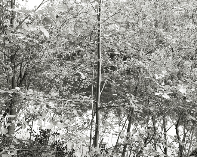 ���������� ����������