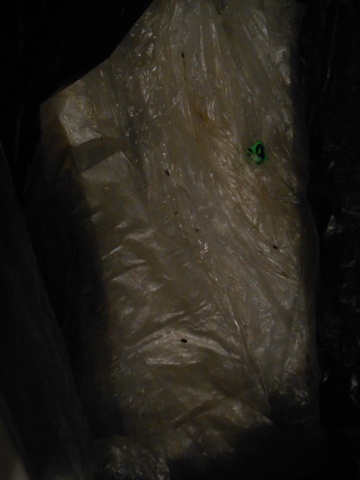 ���������� .