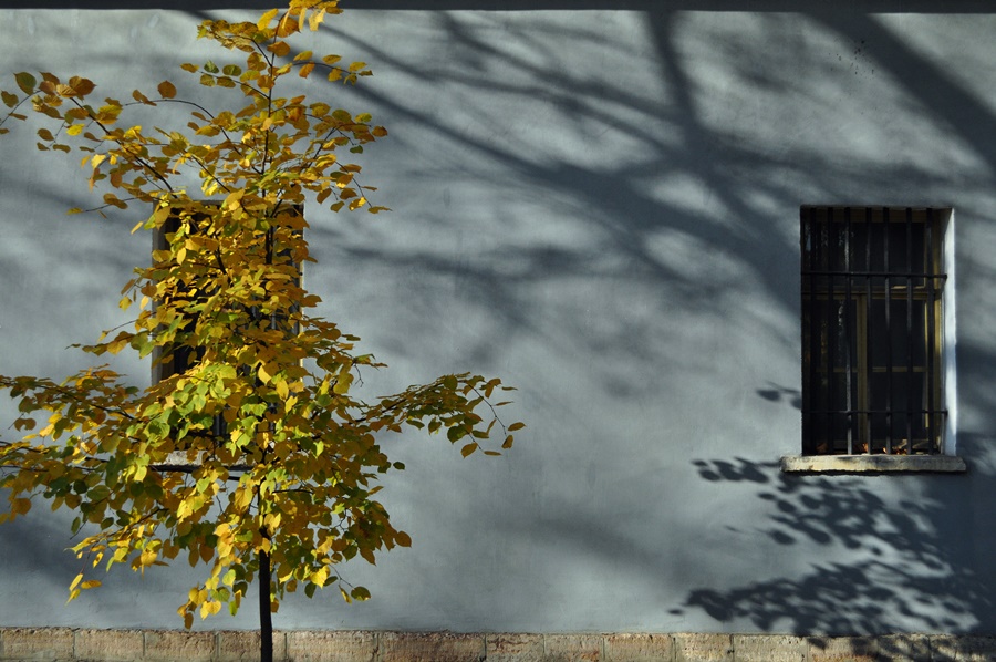 ���������� ��,... �� ����