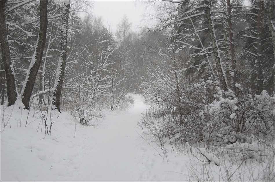 ���������� �����-����