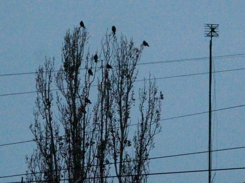 ���������� .