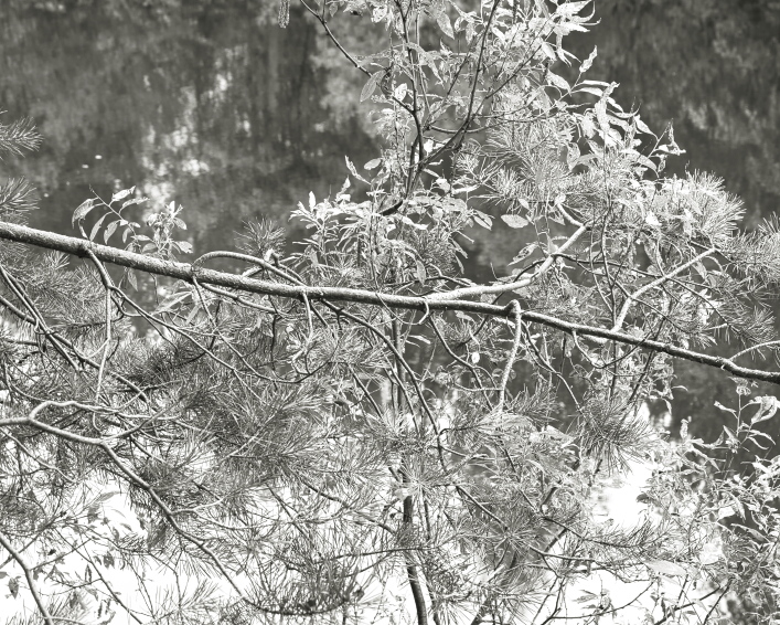 ���������� ����������