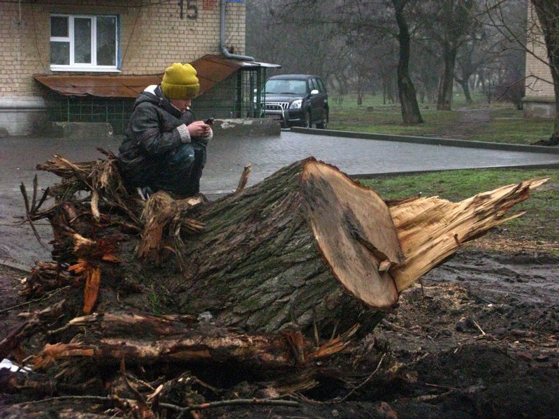 ���������� .