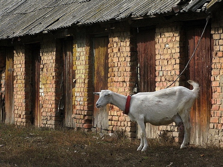 ���������� .