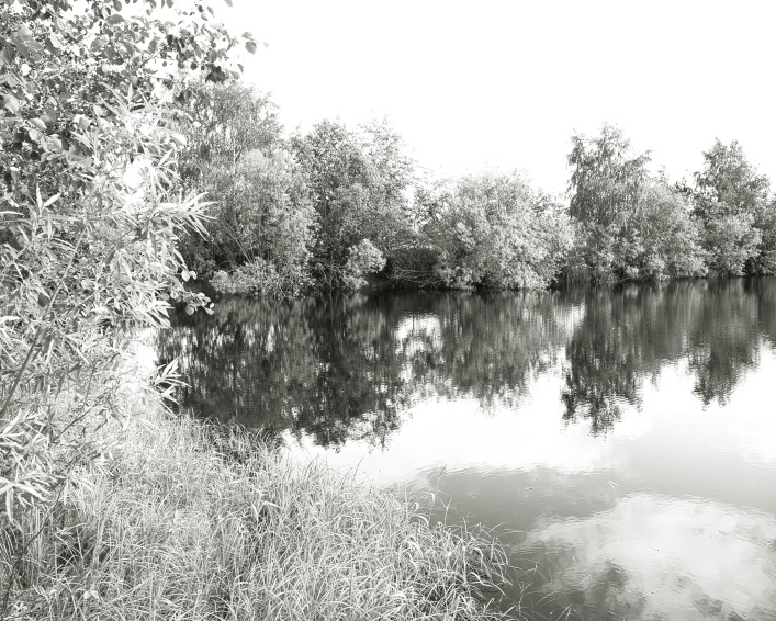 ���������� ����������