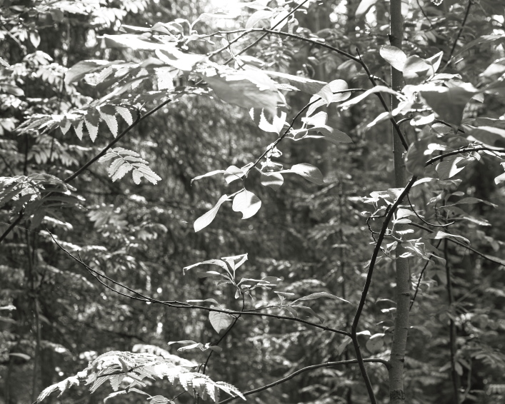 ���������� ����������