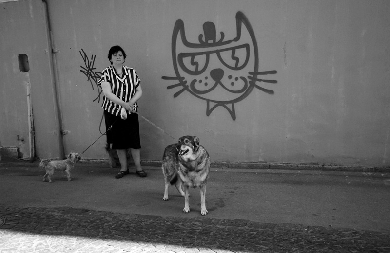 ���������� ***