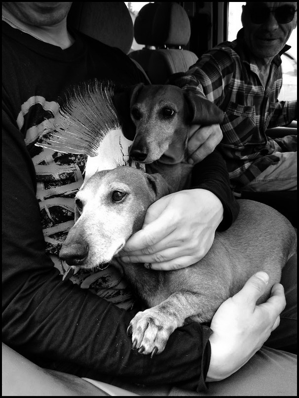 ���������� ������� ���!