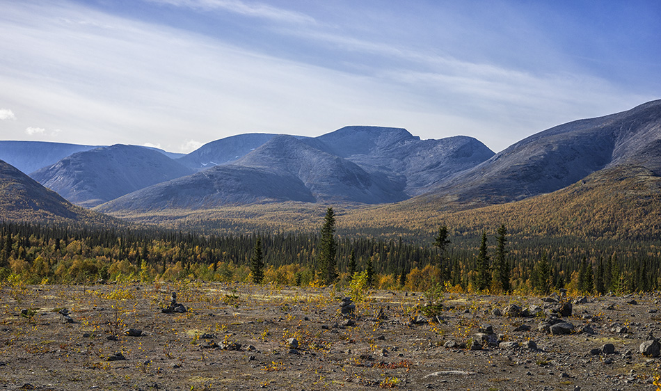 ���������� ����� ���� ���������