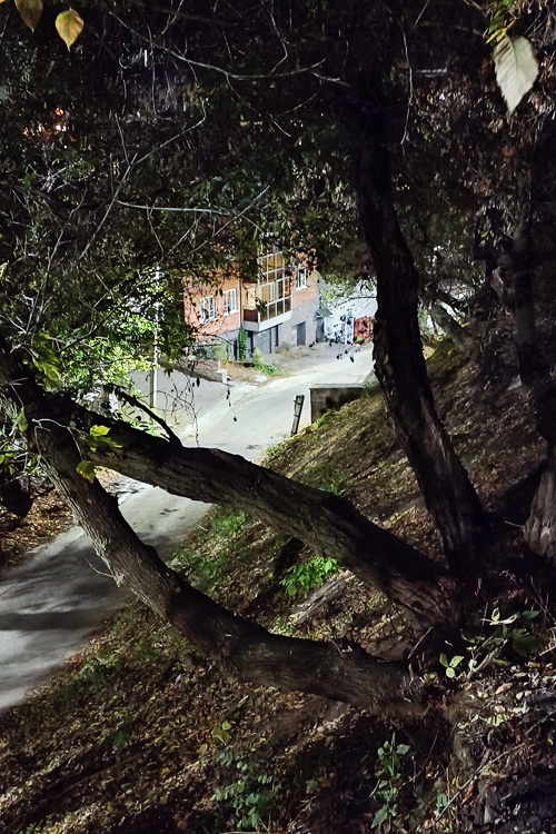 ���������� ��������. ����� �� ��������