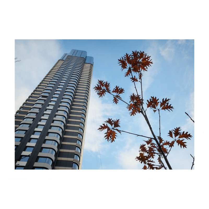 ���������� 1618