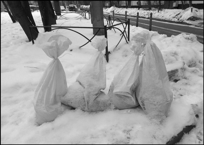 ���������� ****