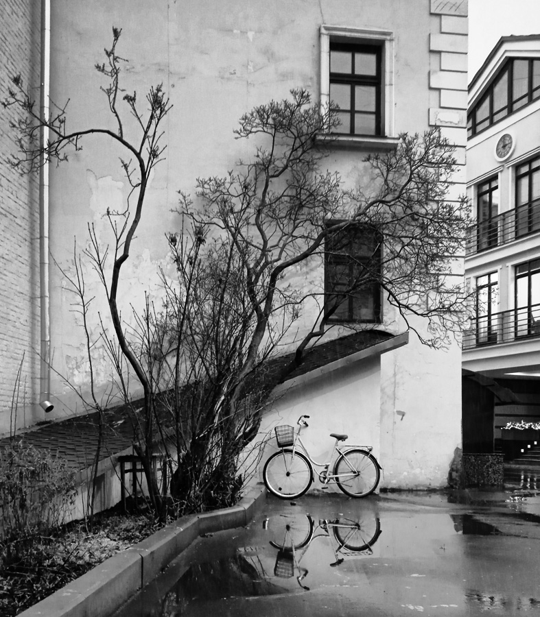 ���������� *