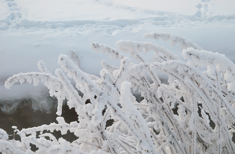 ���������� ***