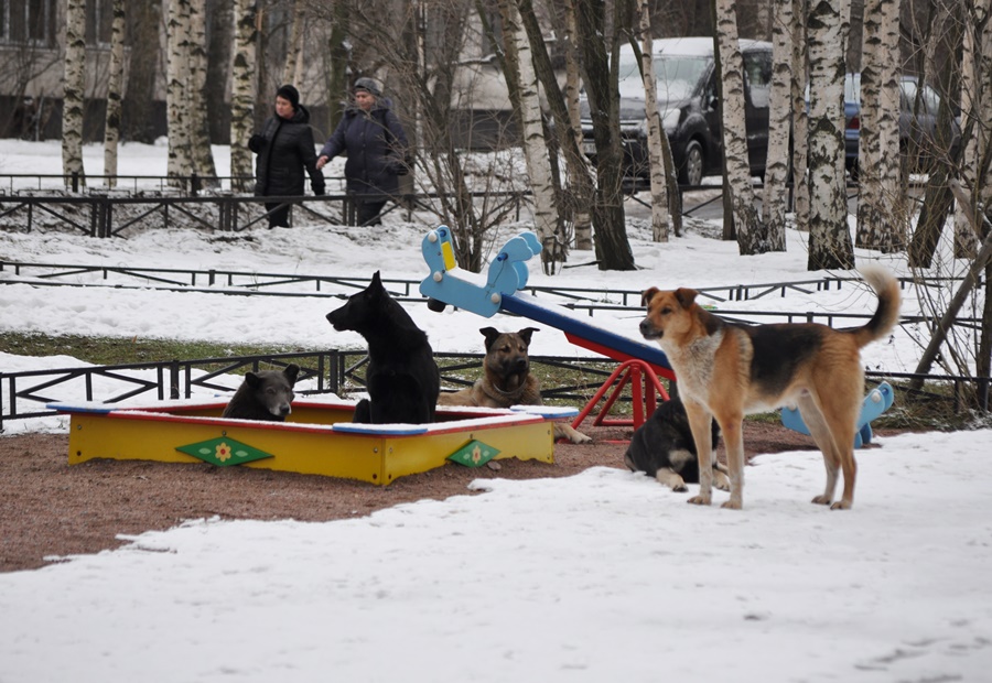 ���������� ��� ������� �������� 