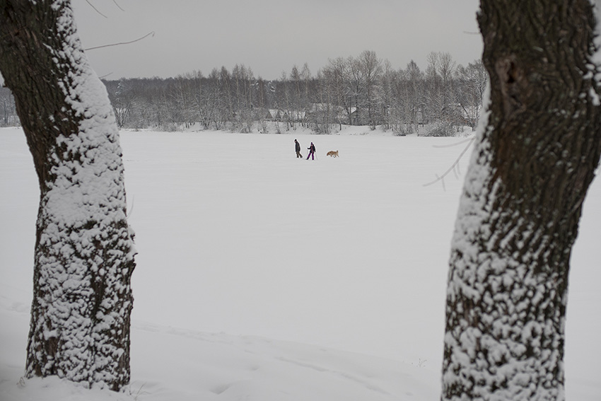 ���������� ***