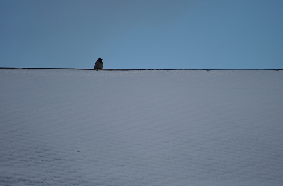 ���������� �� ����� ������ ...