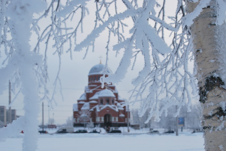 ���������� ������������ ��������� 