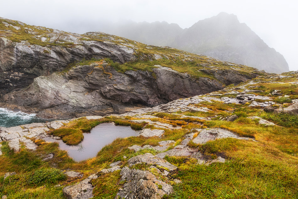 ���������� ***