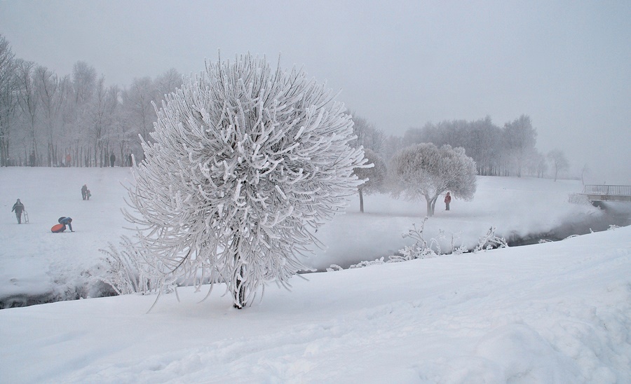 ���������� ***