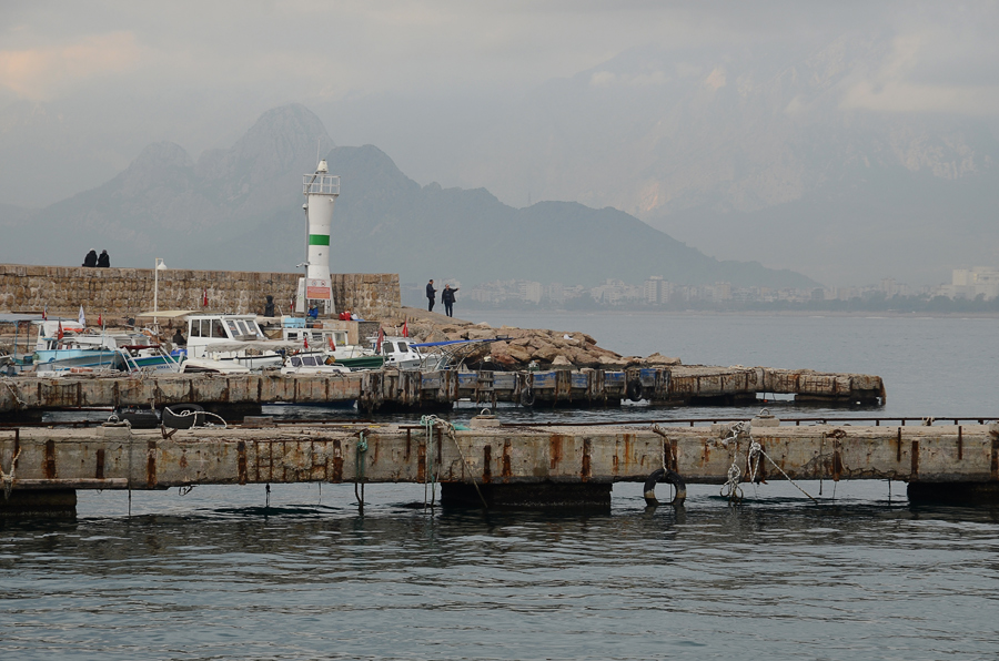 ���������� ***