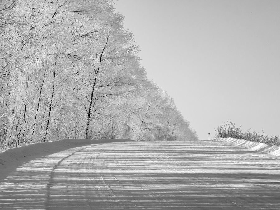 ���������� ***