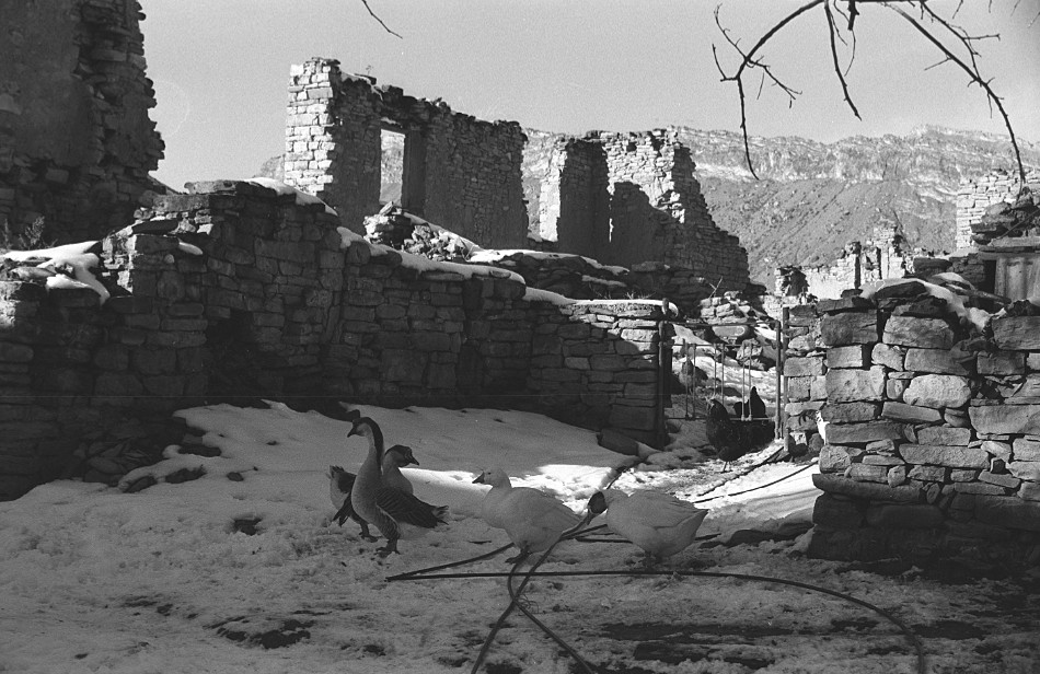 ���������� ***