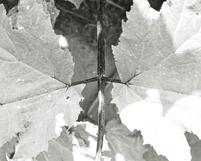 ���������� ����������