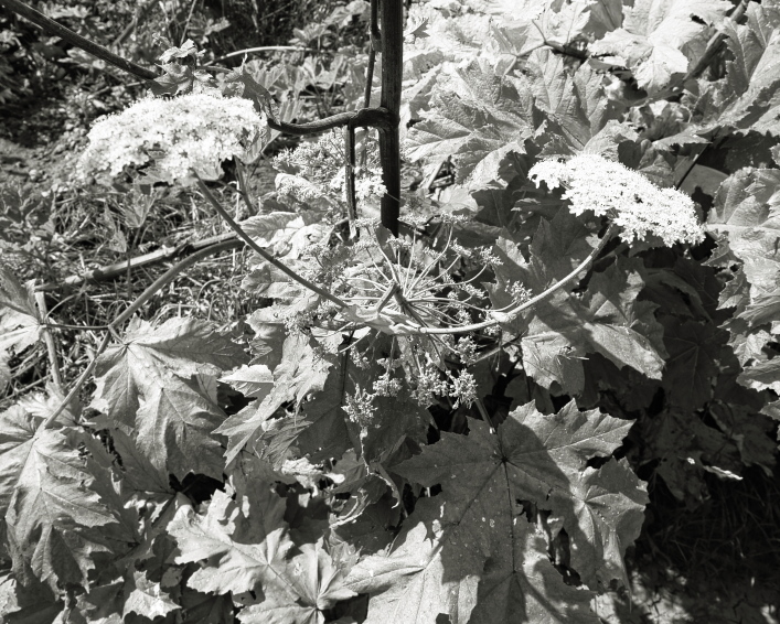 ���������� ����������