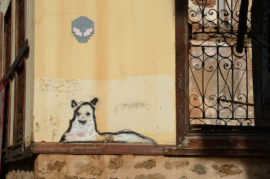 ���������� ***